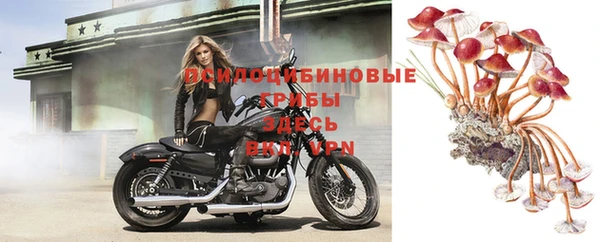 соль курить ск Армянск